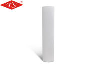 China 20 Inch Big Fat PP Sediment Filter Cartridge 508mm Length 710g Weight factory